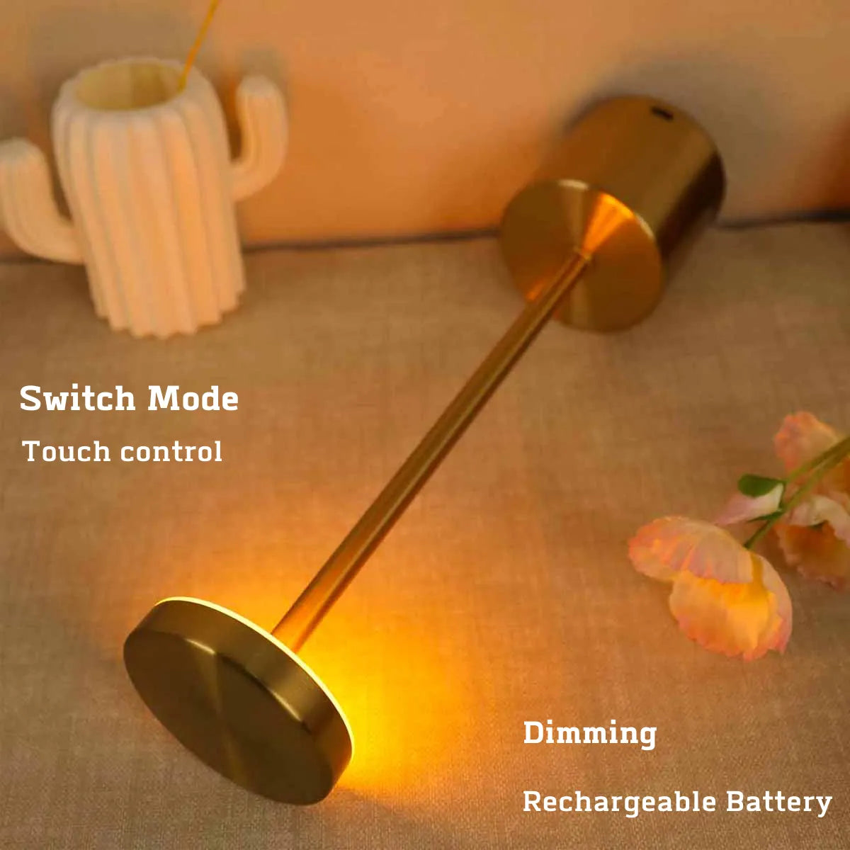 Simple LED Rechargeable Touch Metal Table Lamp